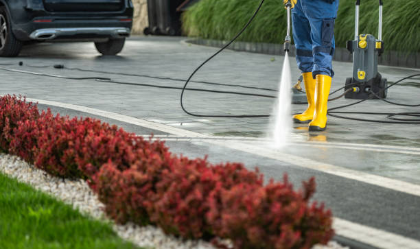 Best Best Pressure Washing Companies  in New York Mills, MN